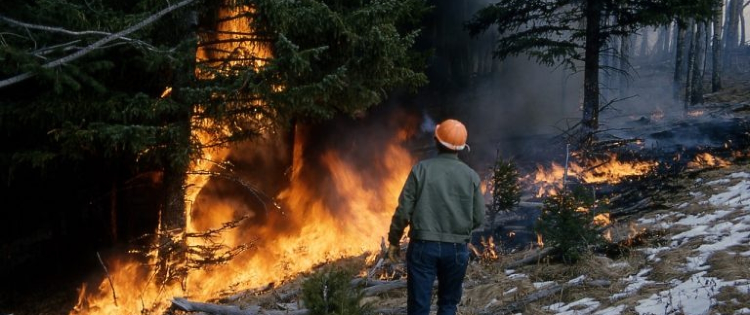 CONTRIBUTI PREVENZIONE DANNI DA INCENDI E CALAMITÀ NATURALI